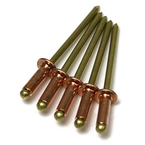 Brass Pop Rivet