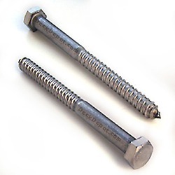 SS Lag Bolt
