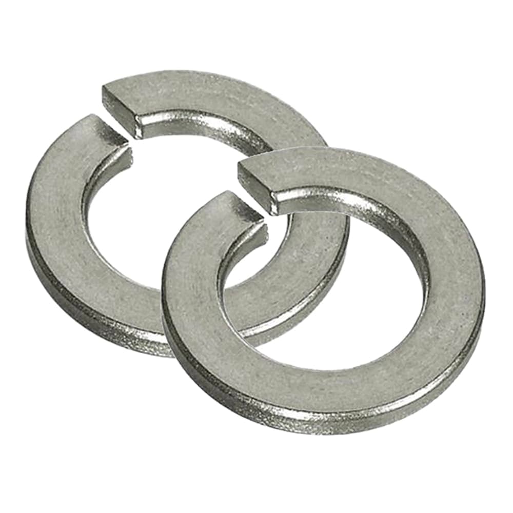 SS Spring Washer