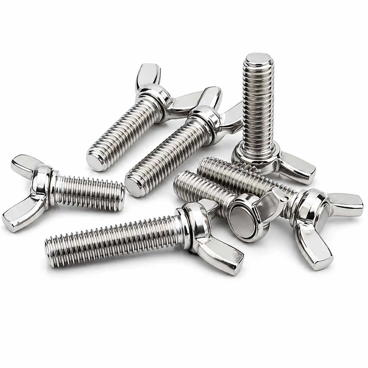 SS Wing Bolt