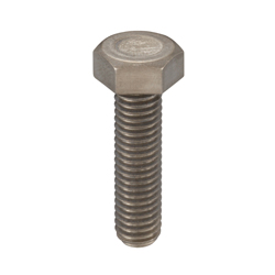 Titanium Bolt