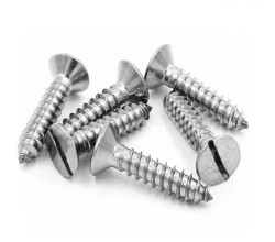 Titanium CSK Phillips Screw