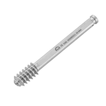 Titanium Lag Bolt