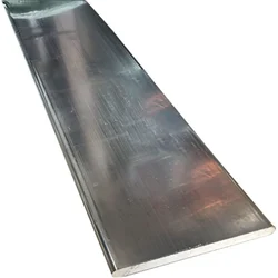 Duplex Steel Bus Bar