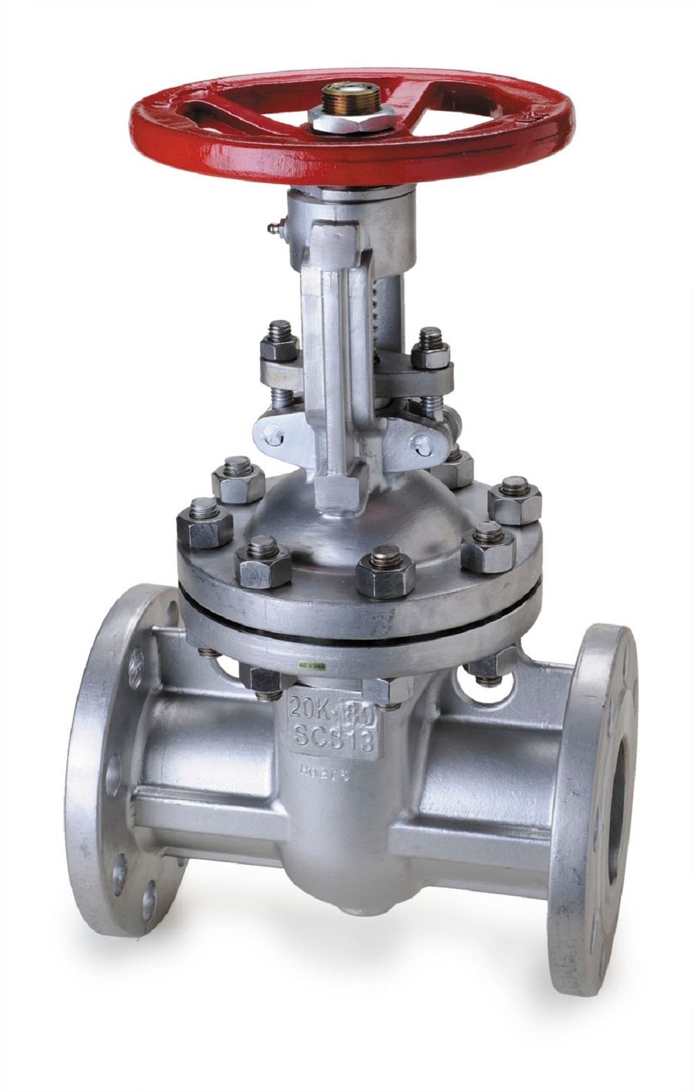 SS Gate Valve