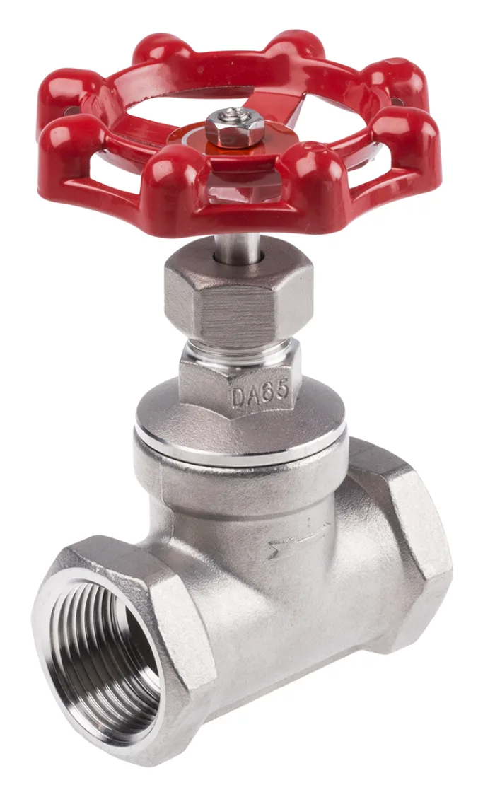 SS Globe Valve