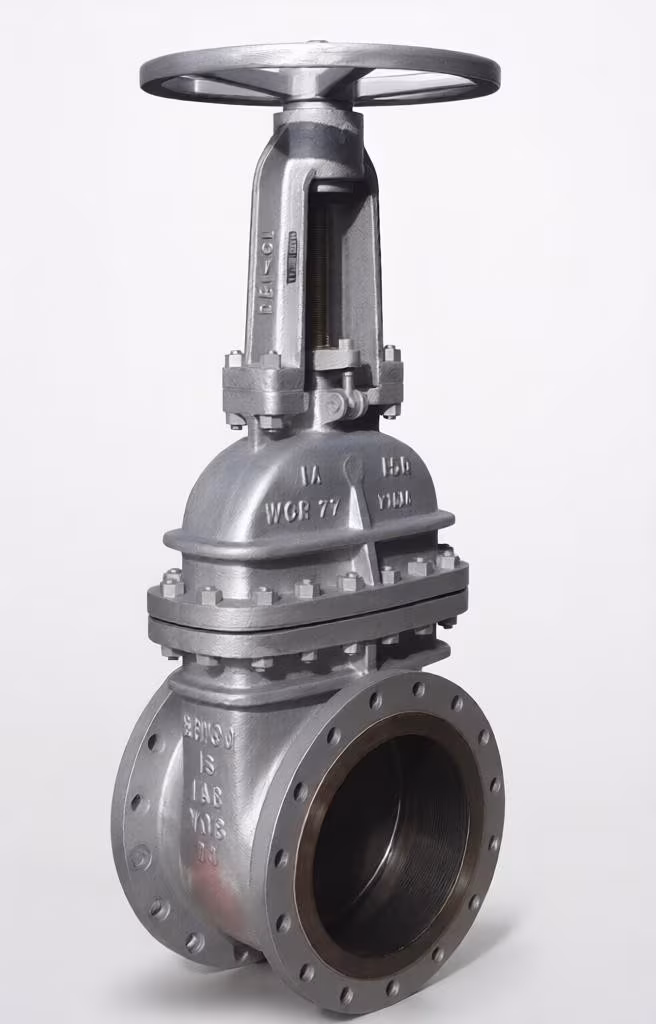 SS OS&Y Gate Valve
