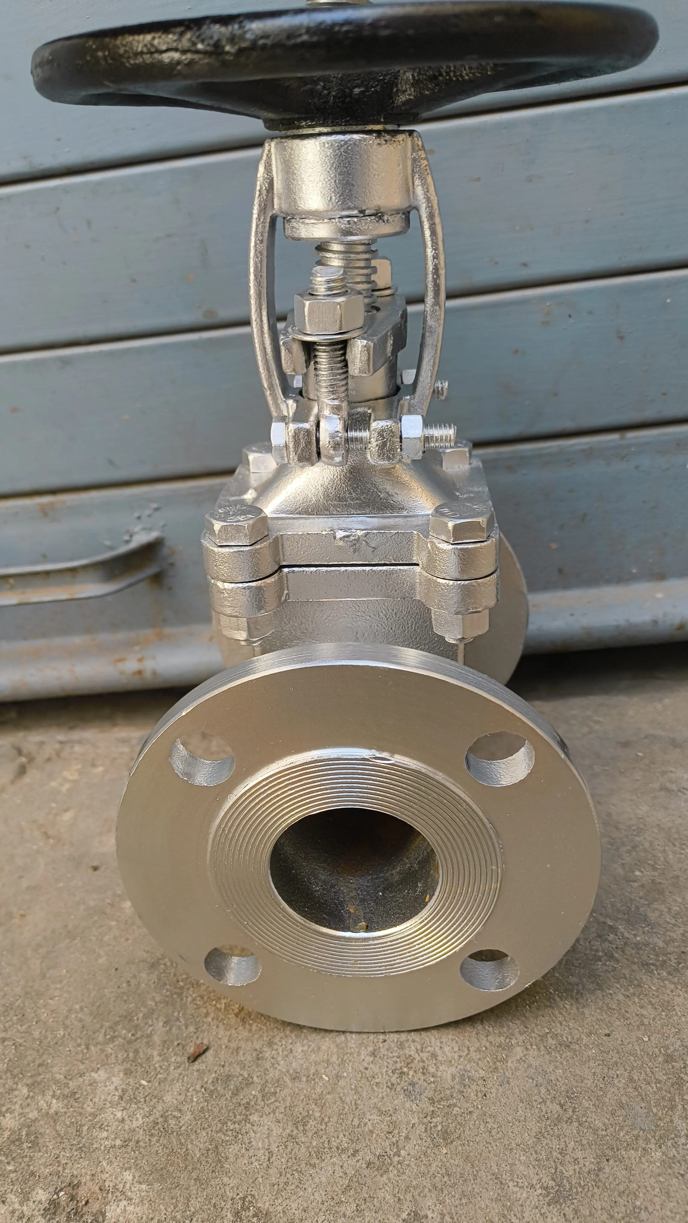 SS Pressure Seal Gate Valve